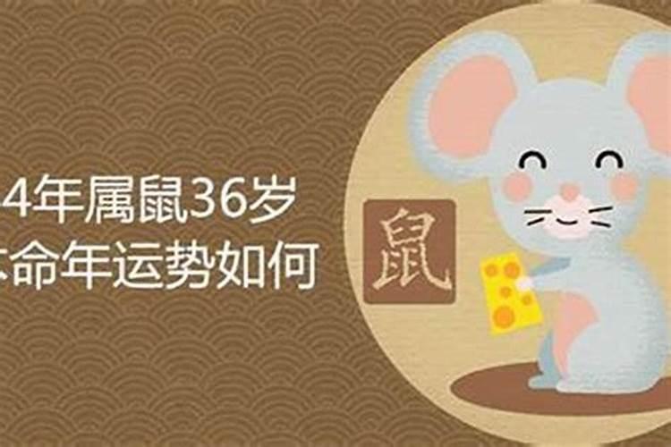 33岁几几年属什么的