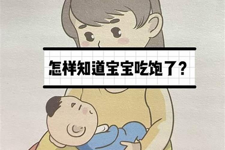 娃哈哈五行属什么