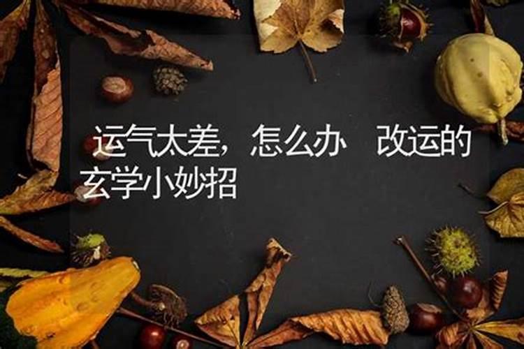 七八年的马今年财运如何