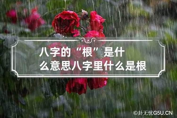 如果八字不合离婚不离家可以化解吗为什么