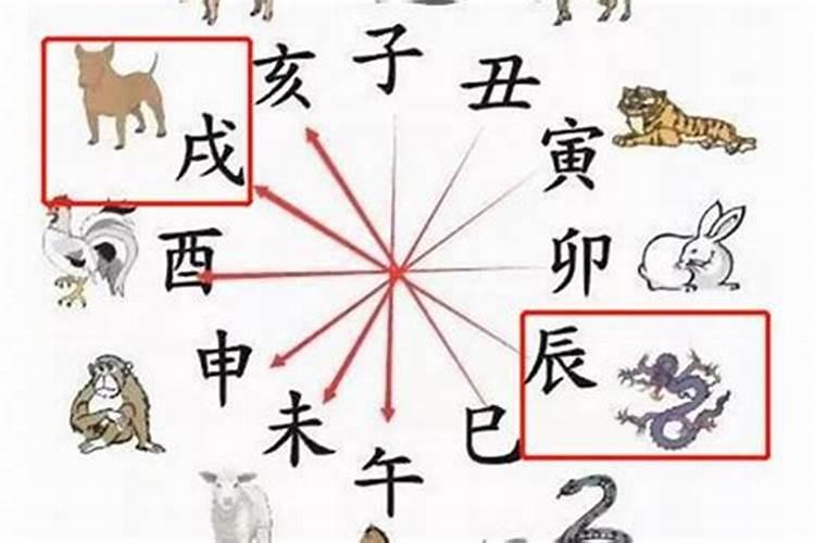 八字不合会变喝吗