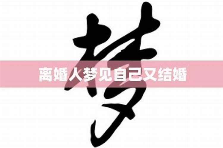 梦见乌龟是什么情况啊怎么回事呢