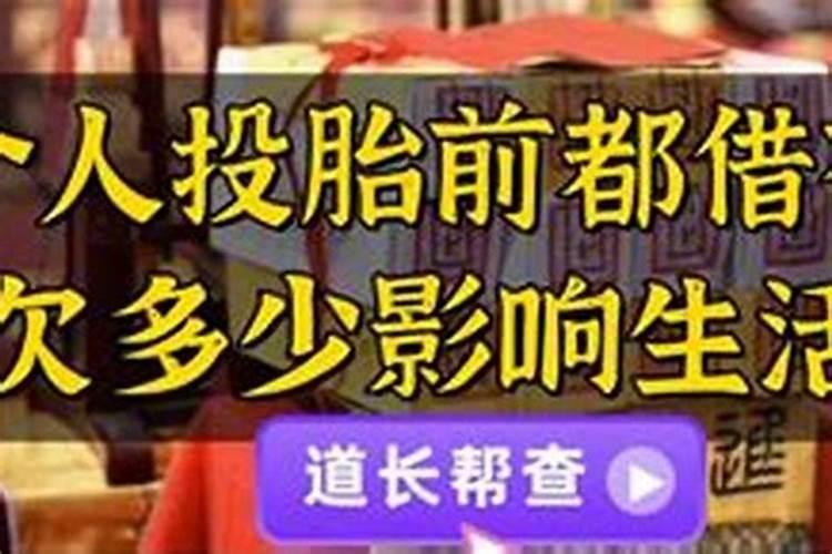 梦见坐公交车是什么预兆呢