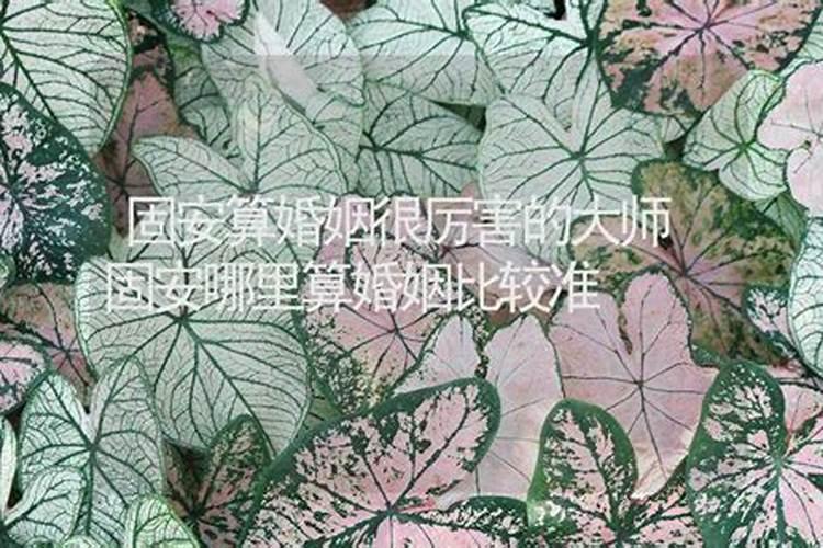 农历7月整个月都是鬼节吗