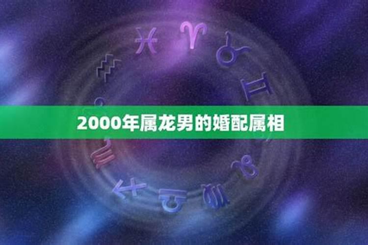 1999年属兔跟什么属相最配对