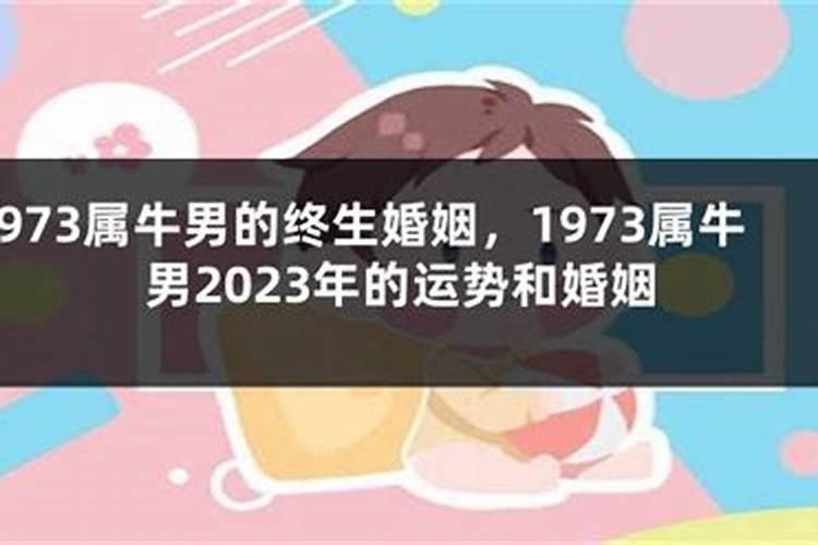 1973属牛男的终生婚姻运势如何