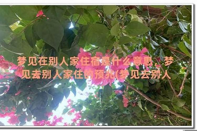 梦见姐姐怀孕什么预兆呢周公解梦