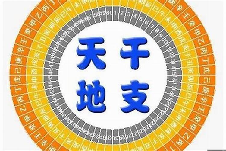 海字属于五行属什么