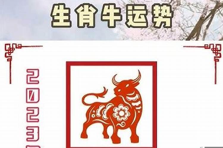 牛肖运势2023年运程