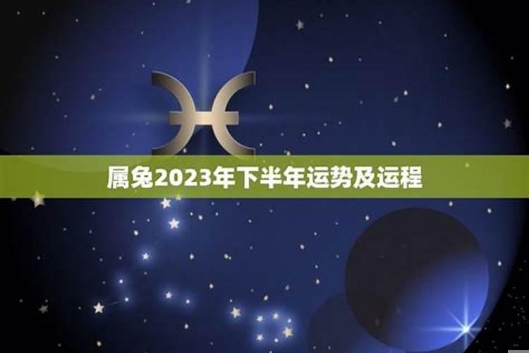 白羊喜欢什么星座呢男