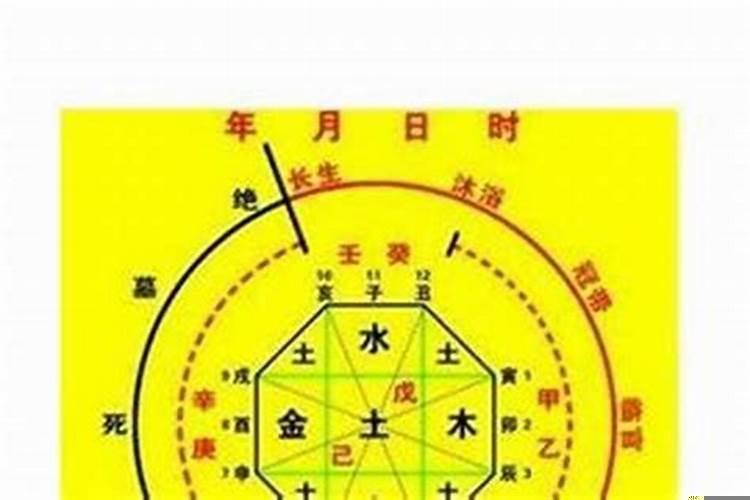 2023年什么命五行属什么生肖