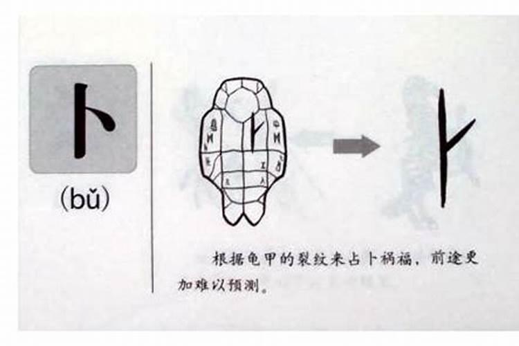 美的五行属性是属什么意思