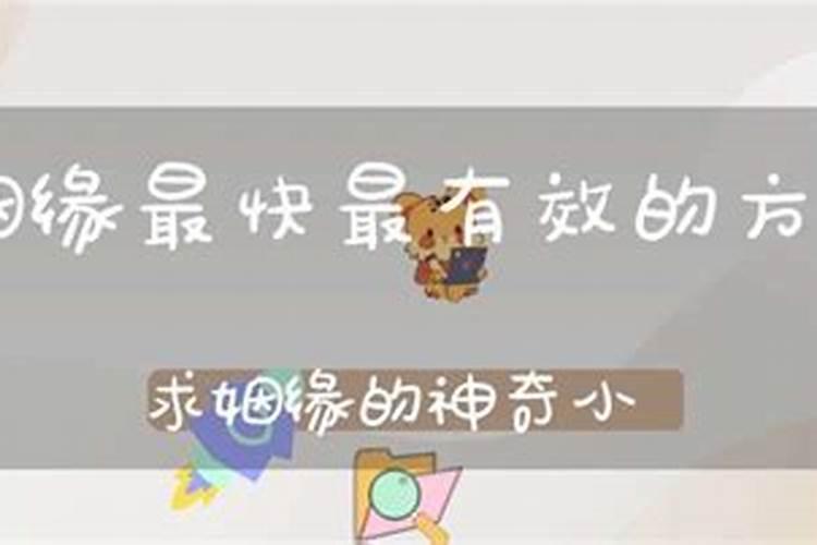 双属猴结婚好不好