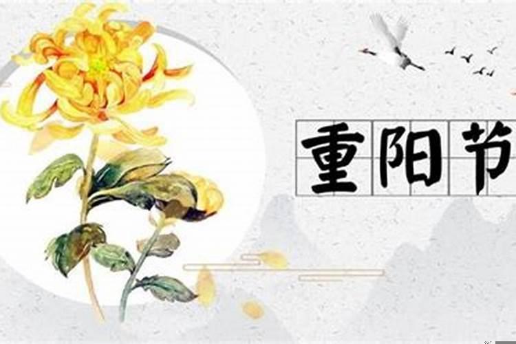 九月初九重阳节风俗是什么