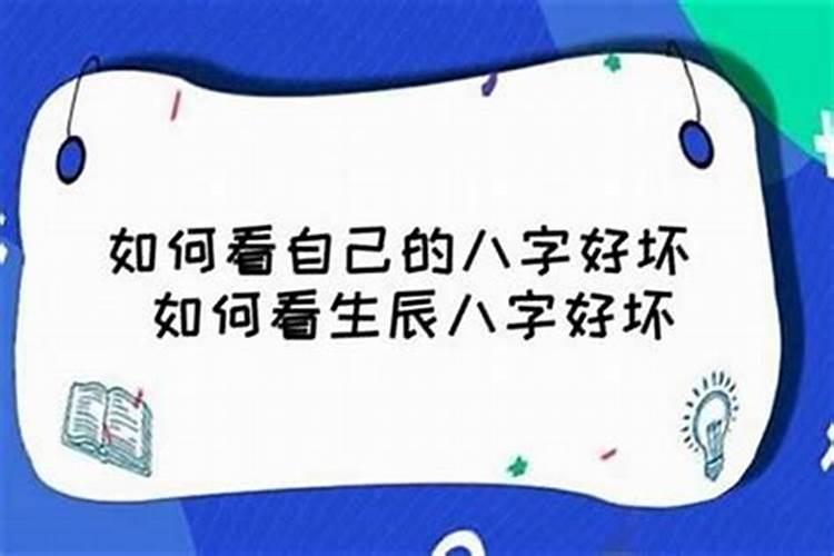 贝的五行属性属什么