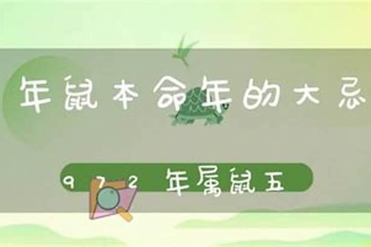 做梦梦到乌鸦是什么意思