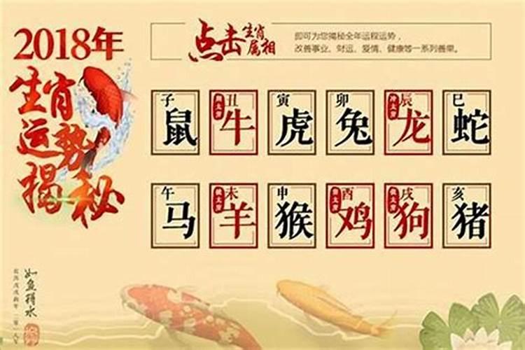 属蛇家里摆什么生肖好