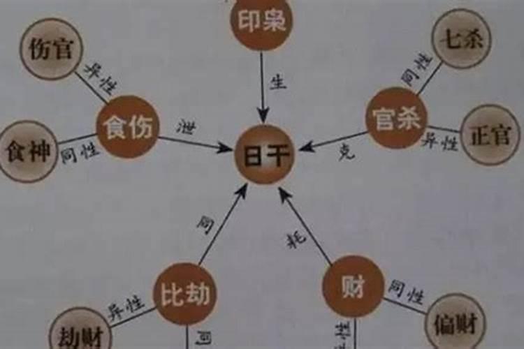 怎么看八字里面的十神