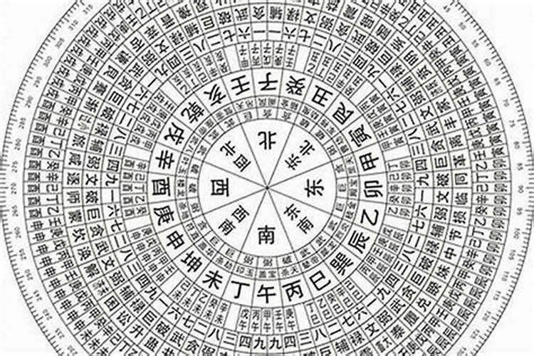 八字合婚需要看地支吗