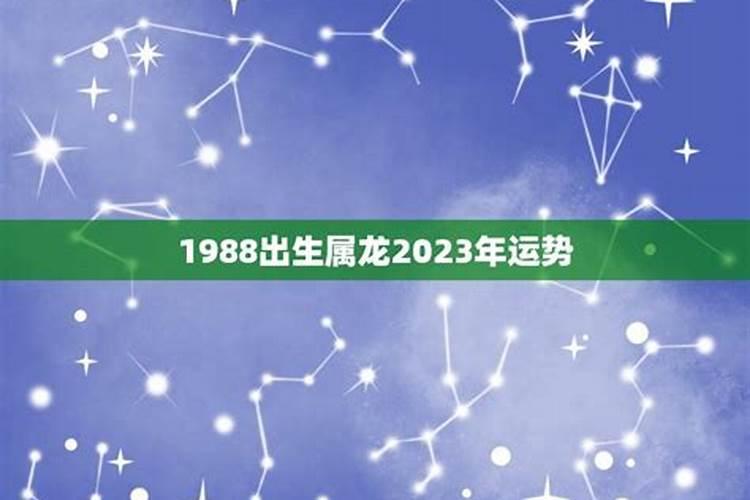 1988生人2023年运势如何