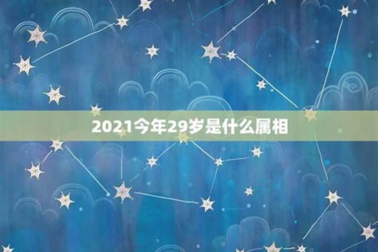 2023年今年28岁属什么生肖