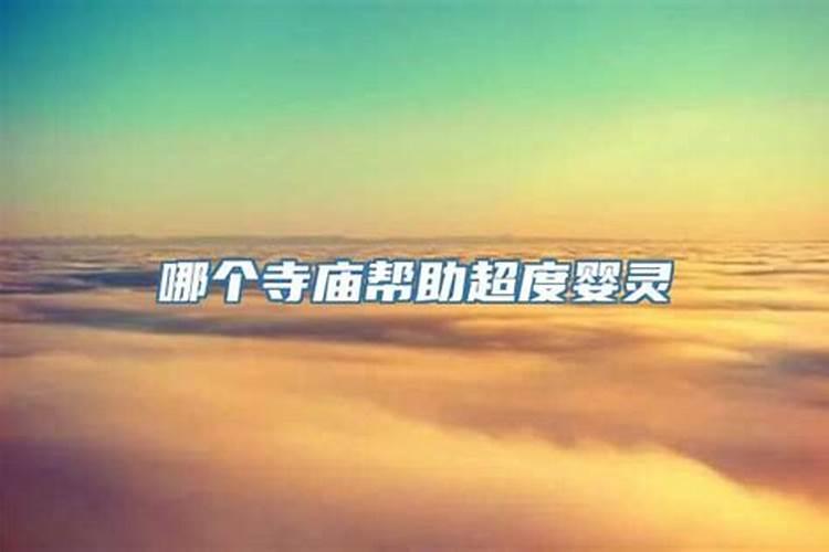 生肖鸡2021年每月运势大全宋韶光