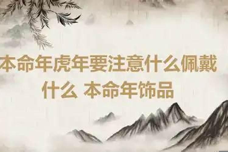 杨紫琼属什么