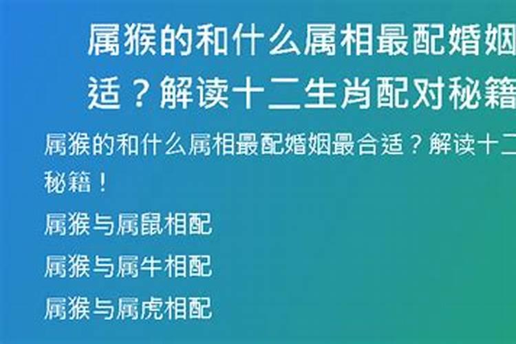 行字属于五行属什么行为