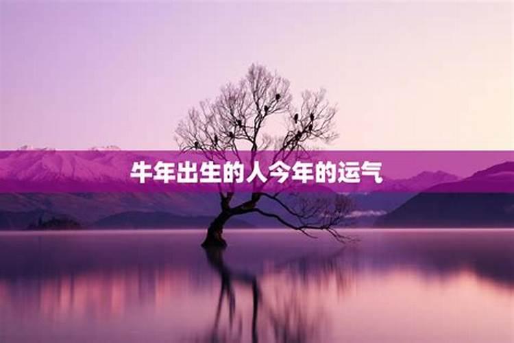 八字算命土命