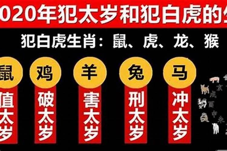 2022年犯冲太岁的属相