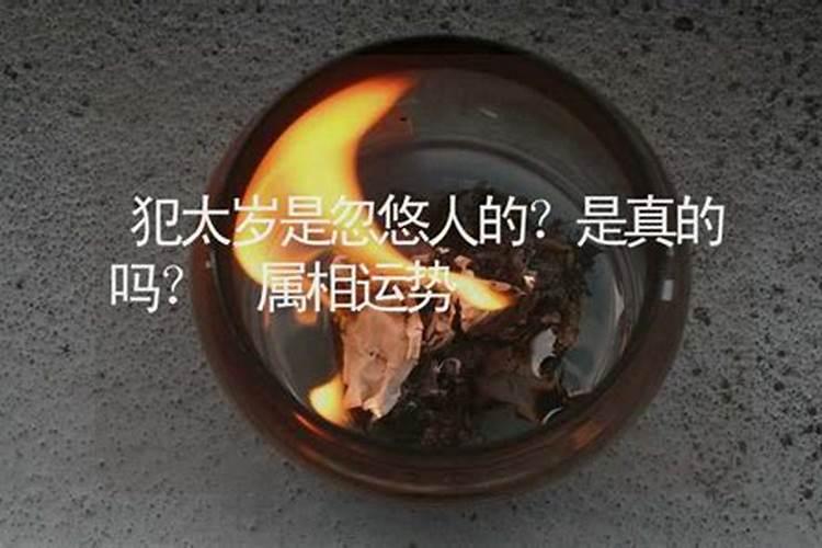 属鼠的是那几年犯太岁