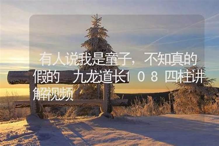 梦见蛇受伤预示着什么征兆