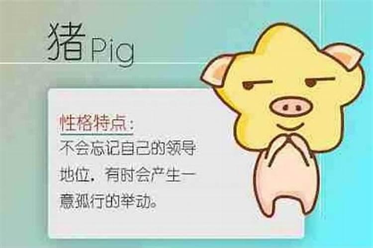 梦到被豹子追赶一直逃跑