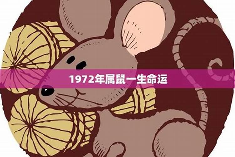 2021年83岁的老人属什么生肖