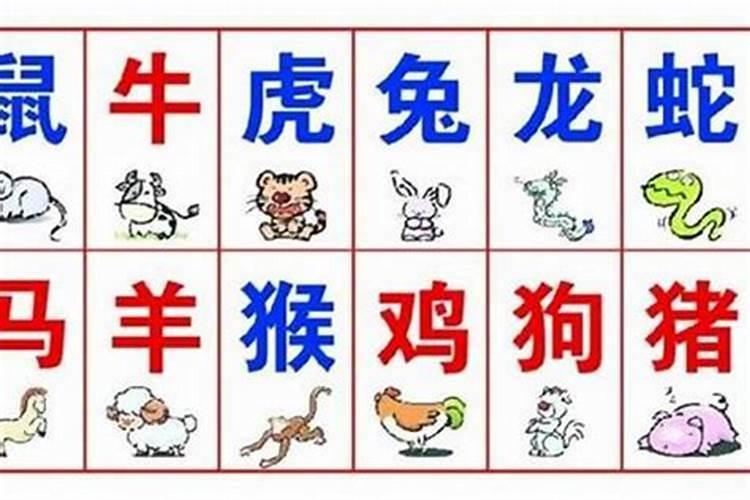 看八字的步骤和顺序