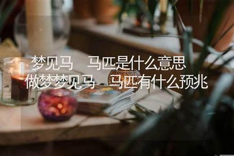 梦见马云是好的兆头吗周公解梦