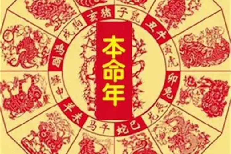 属鼠今年是不是犯太岁了