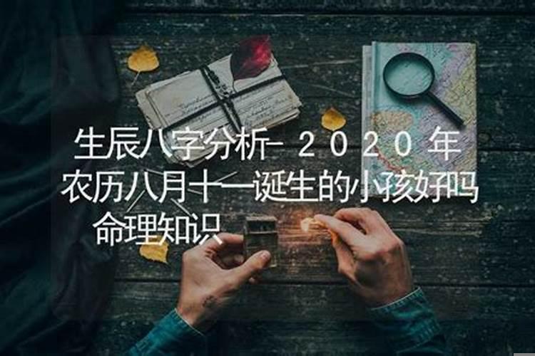 生肖婚配有科学道理吗