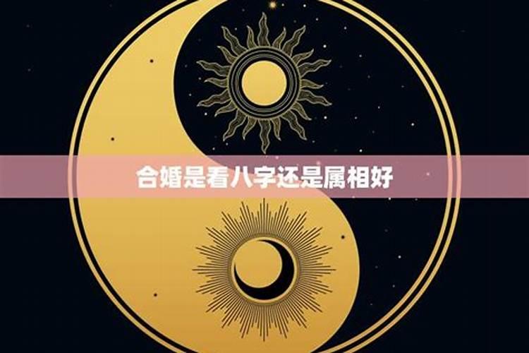 农历腊月三号是什么星座