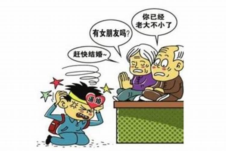 怀孕的人梦见小青蛇和大白蛇什么意思啊