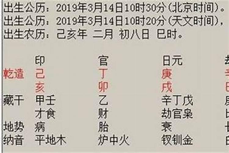 属羊和属狗合不合得来