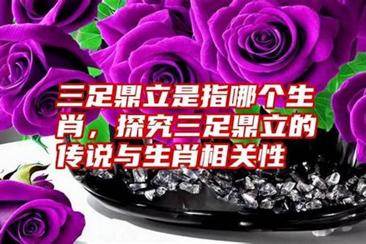 杜鹃花是指什么生肖