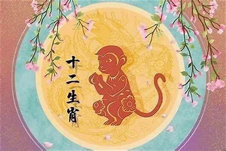 属猴的在猪年运势怎样