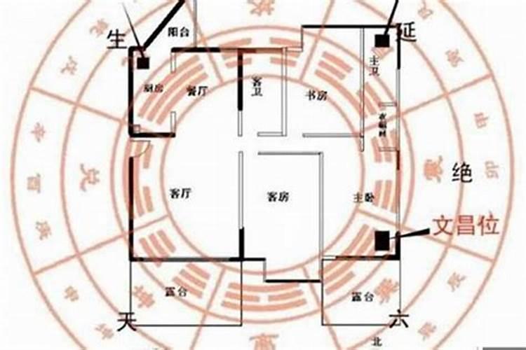 梦见怀孕了老公出轨是什么意思