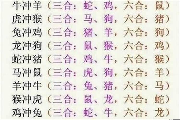 虎和牛属相合不合八字