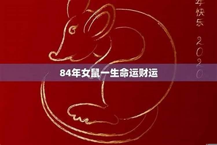 属兔84年出生是什么命