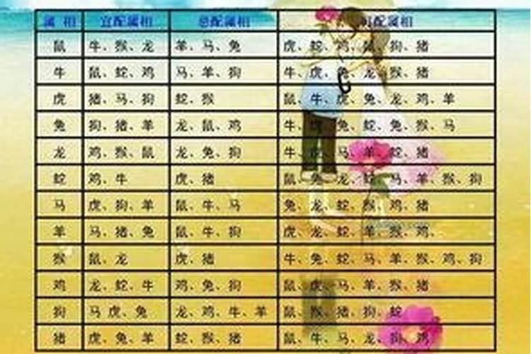 嘉兴公墓冬至祭扫什么