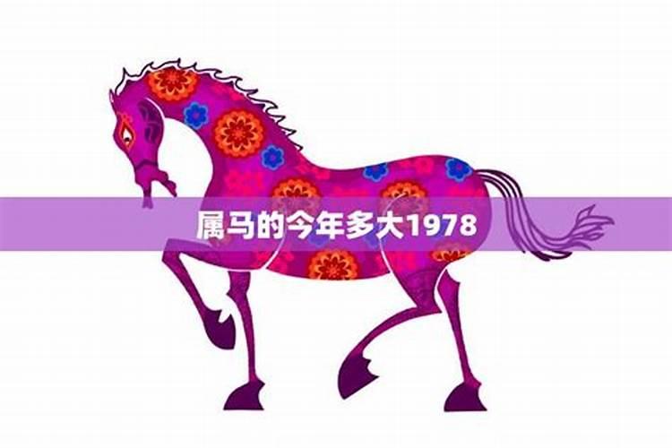 1982年女属狗6月怎么样