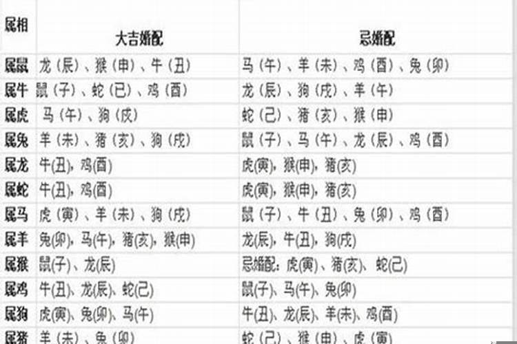 91年属羊2023年12月运势如何