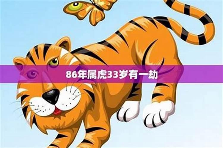 86属虎本命年运势如何